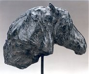 head of a percheron stallion