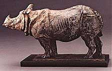 George Carlson - Asian One-Horned Rhino