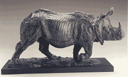 Carlson - Indian Rhino